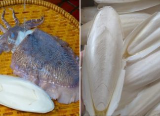 The Secret Ingredient: Mai Muc – Unlocking the Power of a Hidden Health Treasure.