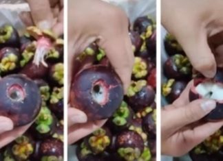 The Ultimate Hack to Peel a Mangosteen in a Flash, No Knife Needed!