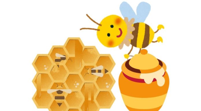 The Eternal Edibles: Foods with No Expiry Dates That You Can Still Consume After a Long Slumber.