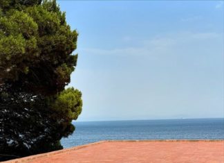 A Red-Hot Look: Jennie’s Dazzling Style Defies Her Dislike for the Color