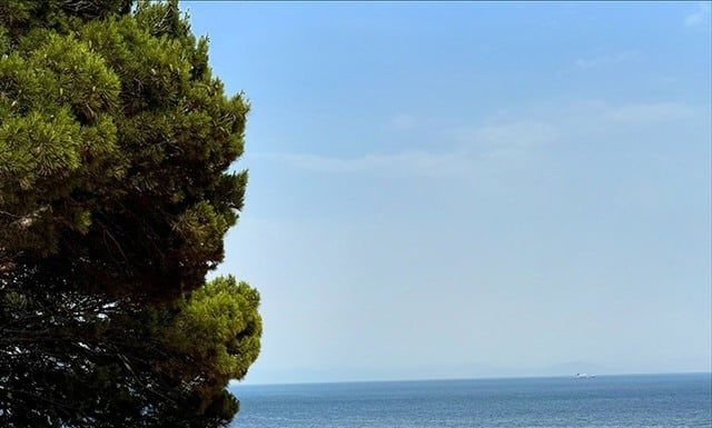 A Red-Hot Look: Jennie’s Dazzling Style Defies Her Dislike for the Color