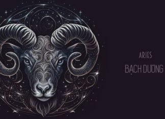 The Lucky Color to Change Your Zodiac Fortune in 2023