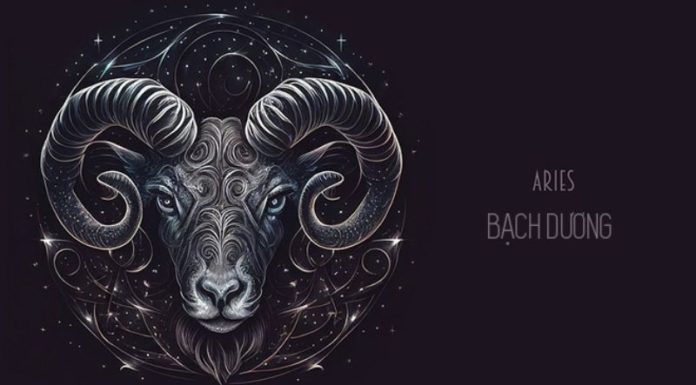 The Lucky Color to Change Your Zodiac Fortune in 2023