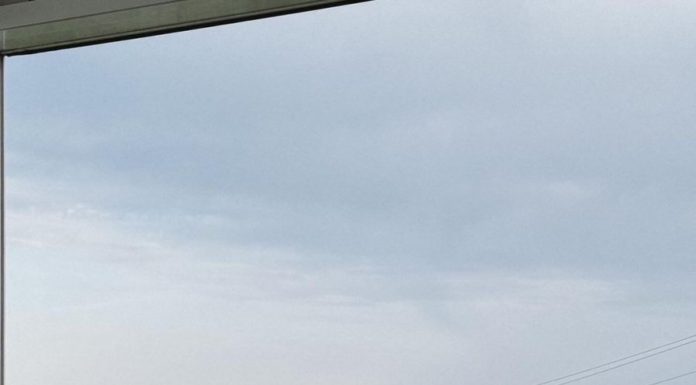 The Ultimate Guide to Rocking the All-White Look Like a True Fashionista