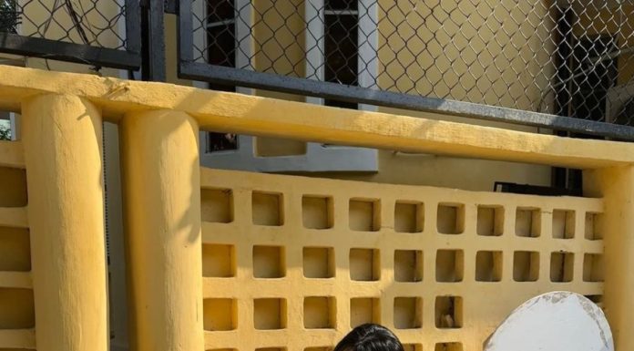 The Trendy Tones of Summer: Butter Yellow Takes Over in 2024