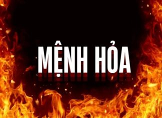 What Plants Suit the Fire Element in Feng Shui? 10 Lucky Plants for Fire Element to Attract Wealth.