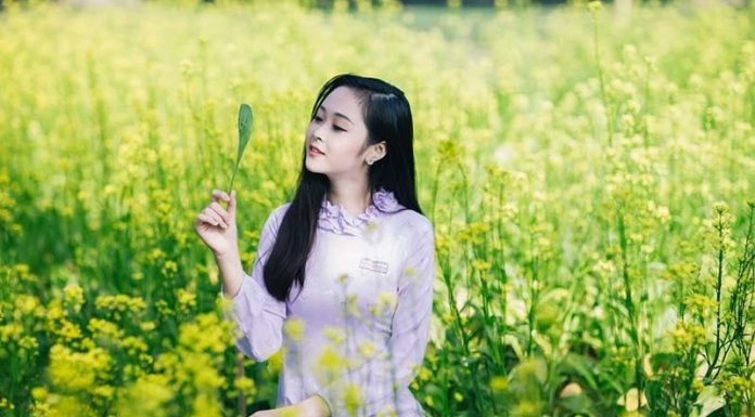 The Ultimate Guide to Attracting Luck: Discover 10 Plants that Harmonize with the Wood Element and Bring Fortune to Your Life