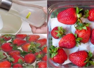 The Tasty Trio: A Comprehensive Guide to Strawberry, Grape, and Onion Storage Secrets