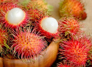 The Ultimate Guide to Storing Rambutan: Pro Tips to Maintain That Crisp, Sweet Bite