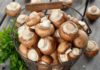 The Ultimate Guide to Storing Mushrooms for Extended Freshness