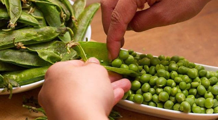 Preserving Fresh Green Peas: A Guide to Locking in Nutrition and Flavor