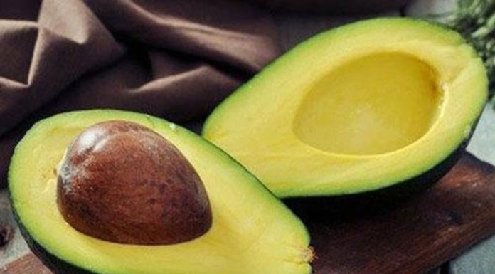 The Ultimate Guide to Fruit Preservation: Pro Tips to Keep Your Produce Fresher for Longer.