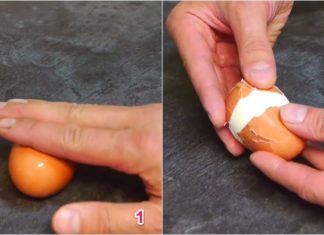 The Ultimate Guide to Egg-cellent Peeling