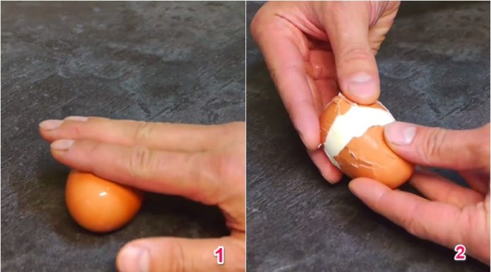 The Ultimate Guide to Egg-cellent Peeling