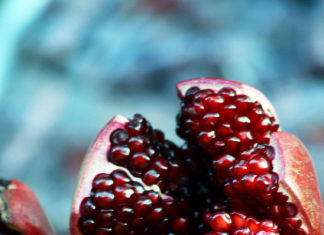 The Art of Fruit Carving: A Guide to Perfect Technique