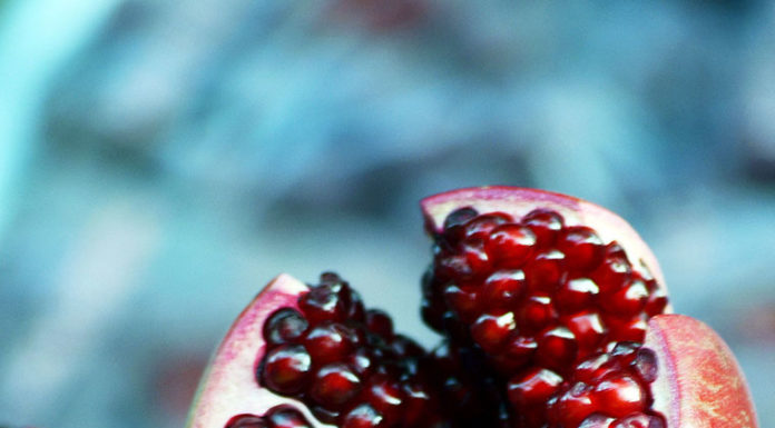 The Art of Fruit Carving: A Guide to Perfect Technique