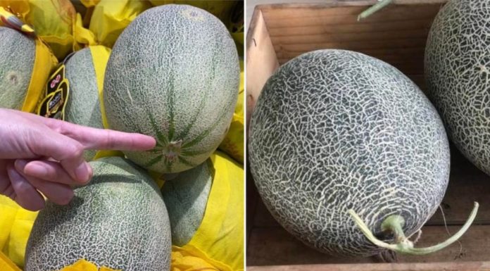 The Ultimate Guide to Choosing a Perfect Honeydew Melon: How to Pick One That’s Ripe and Sweet