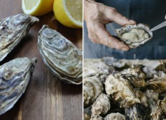 The Ultimate Guide to Picking the Perfect, Plump, and Tasty Live Oysters: A Surefire Way to Get the Best Every Time