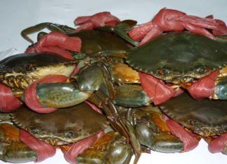 The Ultimate Guide to Selecting the Freshest Seafood While Traveling