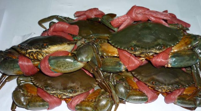 The Ultimate Guide to Selecting the Freshest Seafood While Traveling