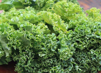 A Savory Solution: Rescuing Overly Rich Dishes