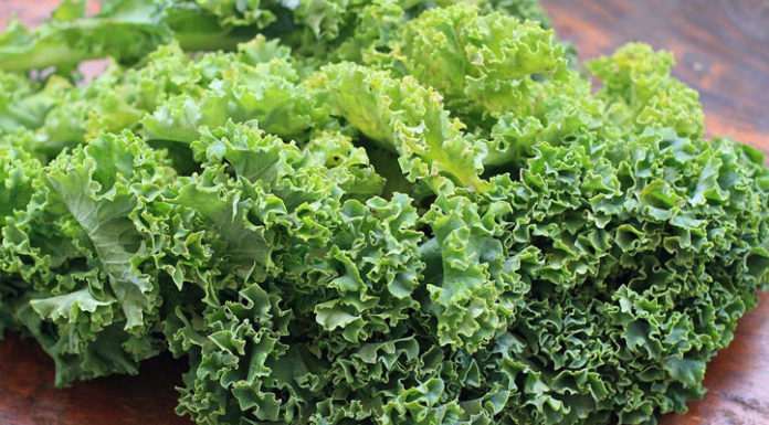 A Savory Solution: Rescuing Overly Rich Dishes