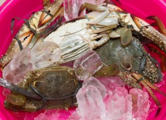 The Ultimate Guide to Steaming Crabs and Spicy Crawfish: A Culinary Adventure