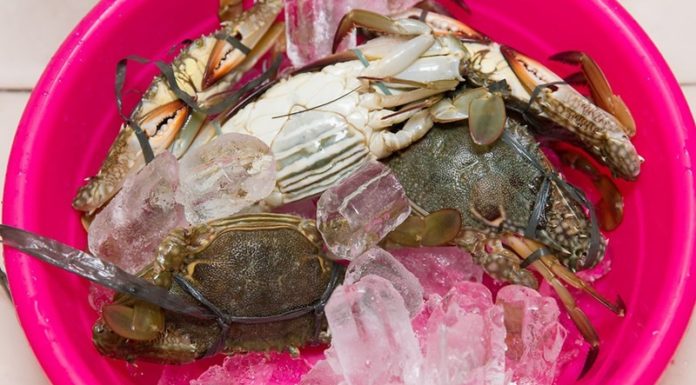 The Ultimate Guide to Steaming Crabs and Spicy Crawfish: A Culinary Adventure
