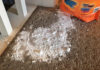 The Magic Trick to Instantly Clean Up Spilled Sugar or Flour from Your Carpet with Just a Glass
