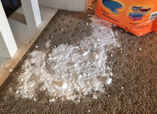 The Magic Trick to Instantly Clean Up Spilled Sugar or Flour from Your Carpet with Just a Glass