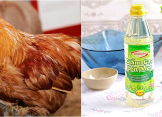 The Ultimate Guide to Tender, Flavorful Chicken Stew