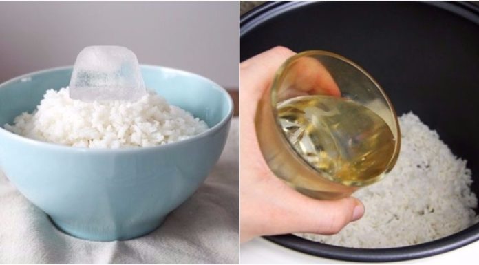 The Ultimate Guide to Reheating Leftovers: Make Them Taste Like New!