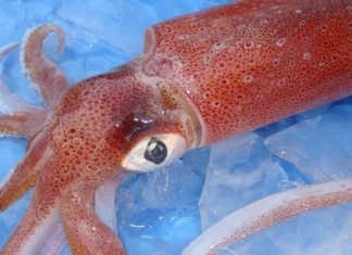 The Ultimate Guide to Eliminating Fishy Odors from Seafood