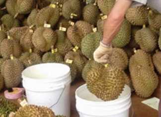 “A Guide to Removing Pesticides from Fruits: A Pre-Eating Ritual”