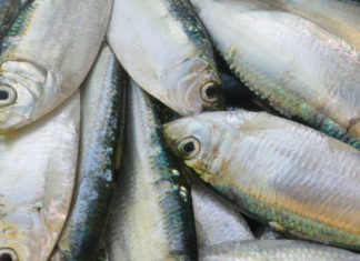 The Ultimate Guide to Creating a Delicious Fish Fillet: A Twist on the Classic Herring Salad