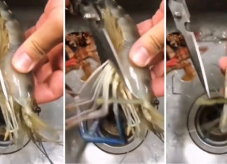 The Ultimate Guide to Cleaning Shrimp: A 3-Step Quick and Easy Process