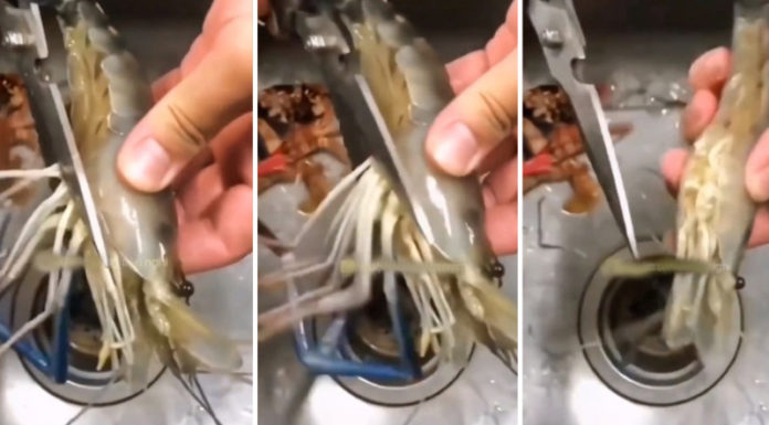 The Ultimate Guide to Cleaning Shrimp: A 3-Step Quick and Easy Process