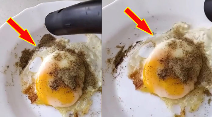 How to Extract Minced Meat from an Omelette