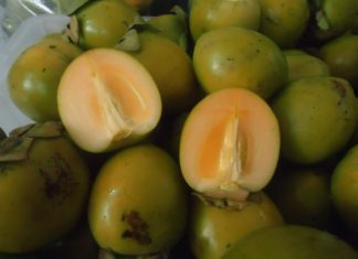 The Ultimate Guide to Neutralizing the Bitter Taste of Familiar Foods