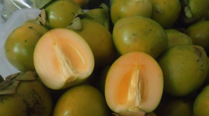 The Ultimate Guide to Neutralizing the Bitter Taste of Familiar Foods