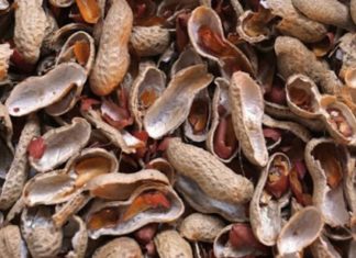 The Ultimate Hack to Peel Garlic in a Flash: 3 Seconds is All it Takes!