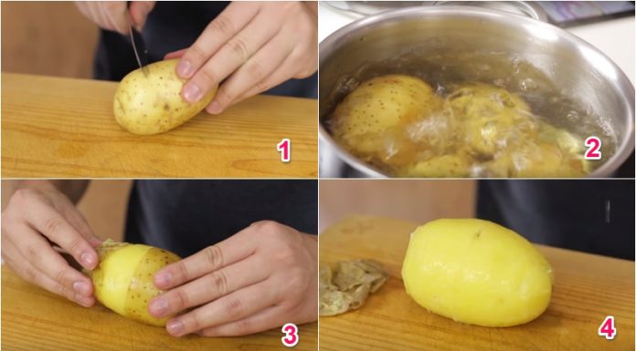 The Ancient Art of Cooking: Secrets Unveiled