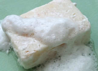 The Secret to Keeping Your Bar of Soap Always Dry