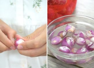 “Turn Shallots into Syrup and Stubborn Coughs will Vanish in an Instant.”