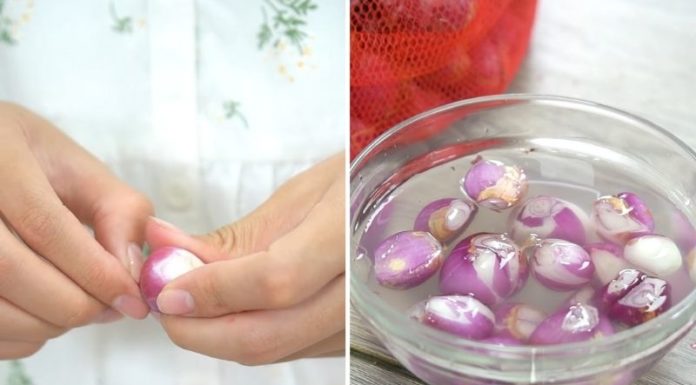 “Turn Shallots into Syrup and Stubborn Coughs will Vanish in an Instant.”