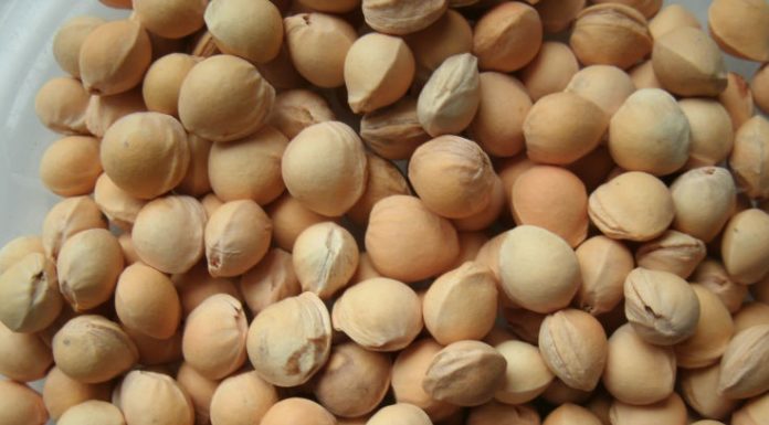 The Secret to a Bountiful Cherry Tree Harvest: Unlocking an Abundant Yield at Home