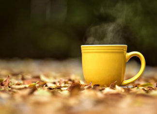 The Magic of Tea Bags: Unveiling the Hidden Tricks