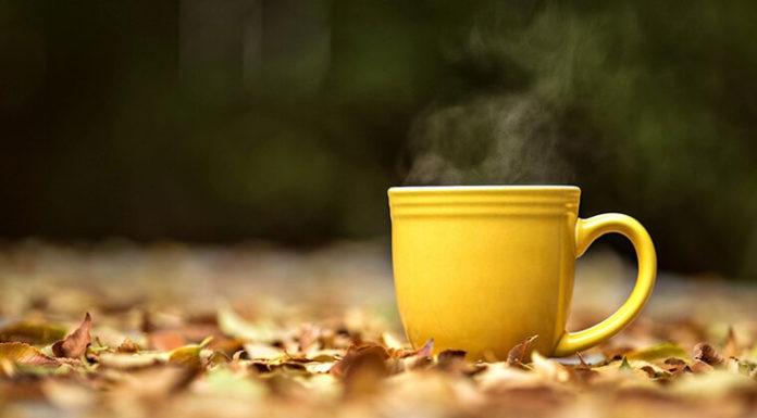 The Magic of Tea Bags: Unveiling the Hidden Tricks