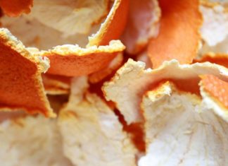 The Ultimate Guide to Mosquito Control During Rainy Days