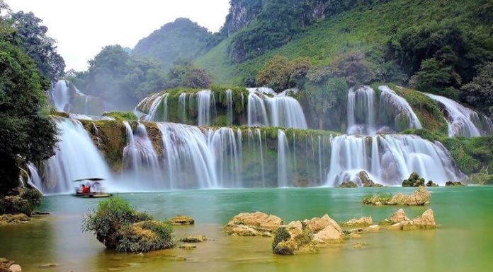 Northern Delicacies: 15 Irresistible Regional Treats to Savour and Gift.